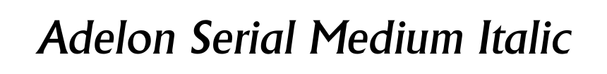 Adelon Serial Medium Italic