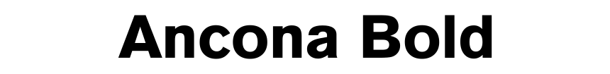 Ancona Bold