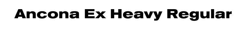 Ancona Ex Heavy Regular