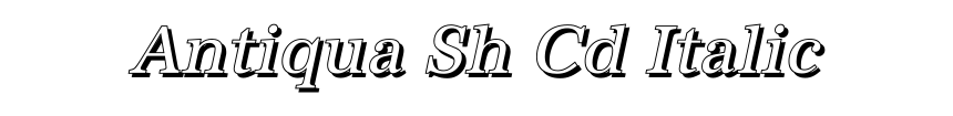 Antiqua Sh Cd Italic