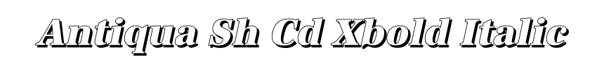Antiqua Sh Cd Xbold Italic