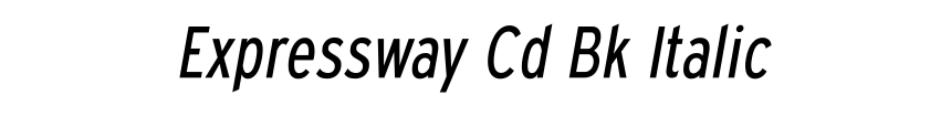 Expressway Cd Bk Italic