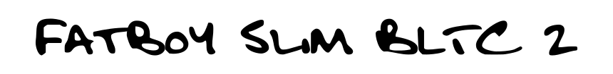 Fatboy Slim BLTC 2