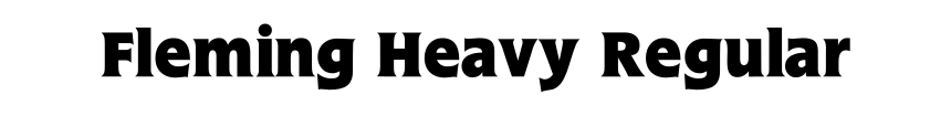 Fleming Heavy Regular