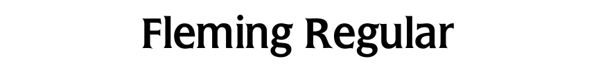 Fleming Regular