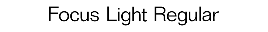 Focus Light Regular