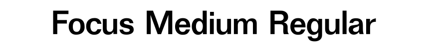 Focus Medium Regular