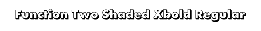 Function Two Shaded Xbold Regular