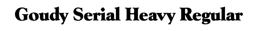 Goudy Serial Heavy Regular