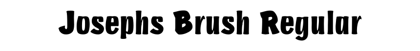 Josephs Brush Regular