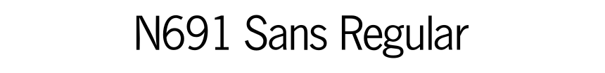 N691 Sans Regular