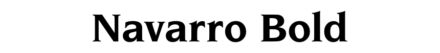 Navarro Bold