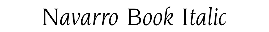 Navarro Book Italic