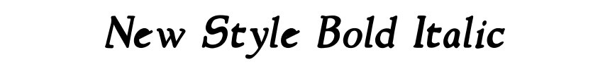 New Style Bold Italic