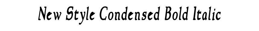 New Style Condensed Bold Italic