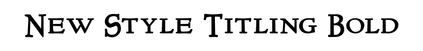 New Style Titling Bold