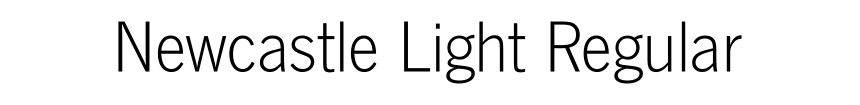 Newcastle Light Regular