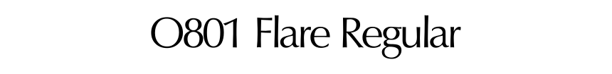 O801 Flare Regular
