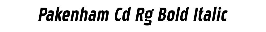 Pakenham Cd Rg Bold Italic
