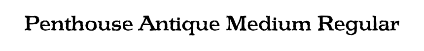 Penthouse Antique Medium Regular