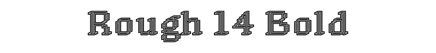 Rough 14 Bold