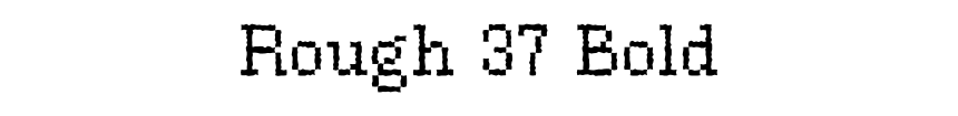 Rough 37 Bold