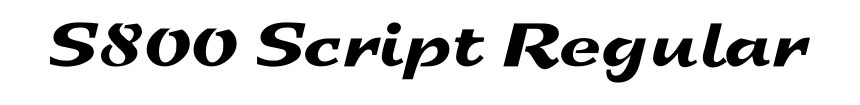S800 Script Regular