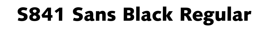 S841 Sans Black Regular