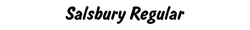 Salsbury Regular
