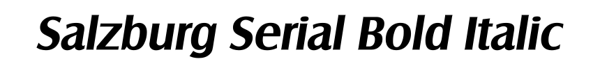 Salzburg Serial Bold Italic