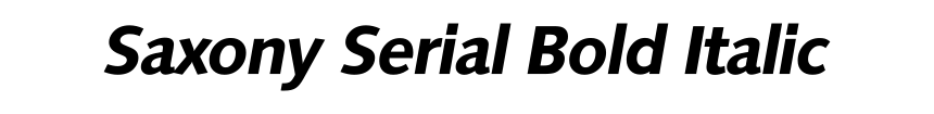 Saxony Serial Bold Italic