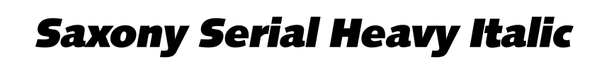 Saxony Serial Heavy Italic