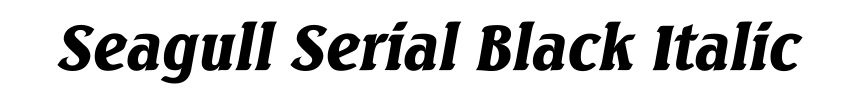 Seagull Serial Black Italic