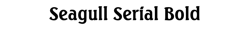 Seagull Serial Bold
