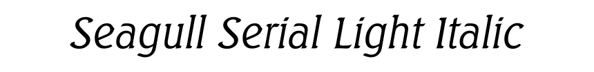 Seagull Serial Light Italic