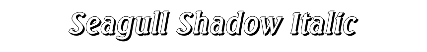 Seagull Shadow Italic
