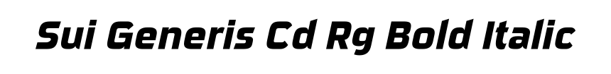 Sui Generis Cd Rg Bold Italic