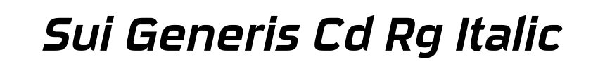 Sui Generis Cd Rg Italic
