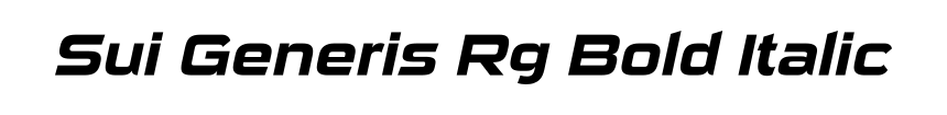 Sui Generis Rg Bold Italic