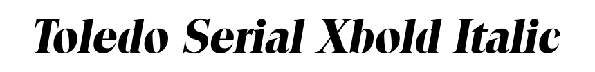 Toledo Serial Xbold Italic