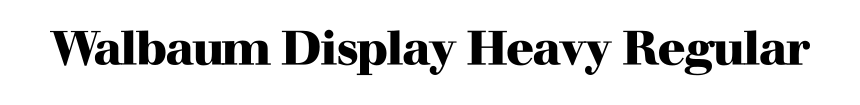 Walbaum Display Heavy Regular