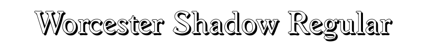 Worcester Shadow Regular