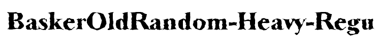 BaskerOldRandom-Heavy-Regular