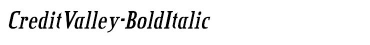 CreditValley-BoldItalic