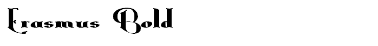 Erasmus Bold
