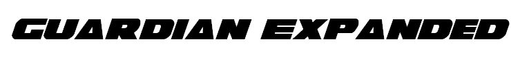 Guardian Expanded Italic