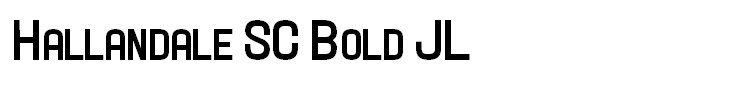 Hallandale SC Bold JL