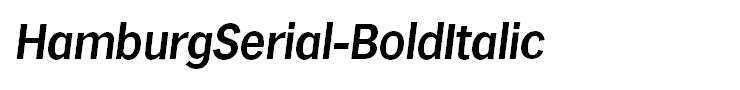 HamburgSerial-BoldItalic