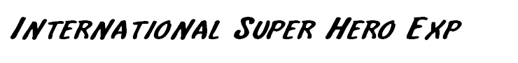 International Super Hero Exp