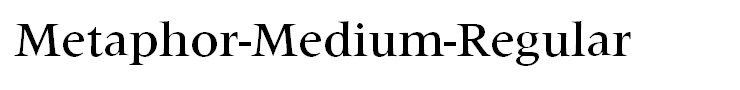 Metaphor-Medium-Regular